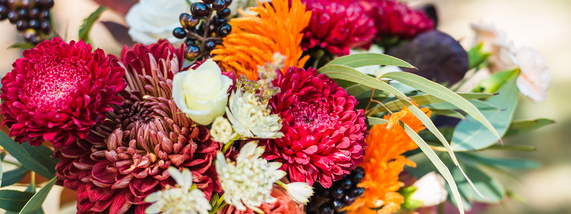 Jules Florist